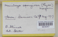 Image Associated With the Occurence